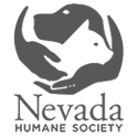 nnv human